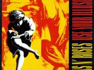 Guns N' Roses - Use Your Illusion I [2LP] (180 Gram)/SEALED