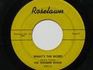 THUNDER ROCKS What’s The Word/Johnny Sax 7” 45 1959 Detroit rock on Roselawn