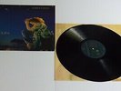 Simply Red Stars Vinyl LP + Inner Sleeve - EX