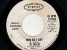 GARAGE ROCK-REMAINS-WHY DO I CRY/MY BABE-EPIC 9783
