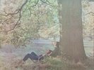 Vinyl 12