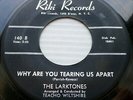LARKTONES doo-wop 45 orig.Riki WHY ARE YOU TEARING US APART  NOSY NEIGHBORS F377
