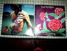 TODD RUNDGREN ( 4 ) LP lot: BACK TO THE BARS / SOMETHING: ANYTHING? w. book VG++