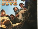 COUNT FIVE Psychotic Reaction 1966 MONO CLEAN ORIGINAL  Double Shot LP-DSM-1001