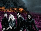 The Dead Weather - Dodge And Burn - New Sealed Vinyl LP Album