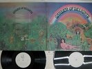 GARDEN OF DELIGHTS SAME ELEKTRA SJET-9513/4 Japan PROMO VINYL 2LP