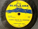 CHICAGO BLUES 78: SUNNYLAND SLIM Devil Is a Busy Man/Going Back to Memphis