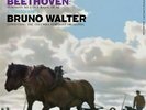 Beethoven/Bruno Walter Conducting - Symphony No. 6 2LP VINYL LP AAPC077-45