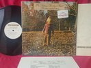 Allman Brothers 