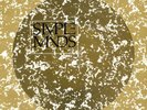 Simple Minds ?– Once Upon A Time. LP. Picture Disc. Mint.