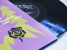 Lovely Creatures - The Best of Nick Cave and The Bad Seeds (1984 ...