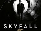Skyfall- Original Motion Picture Soundtrack Limited Edition 2x Vinyl LP MOVATM17