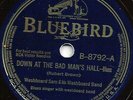 BLUES - WASHBOARD SAM 
