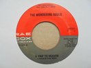 THE WONDERING SOULS A Trip To Heaven RAE COX Gospel Deep Soul Killer  45 HEAR