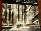 Hum Vinyl, Electra 2000, Never Played, Excell Condition With Rare Jay Ryan Print