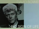 David Bowie - No Sign Of Life Montreal Forum 1983 180g Colour Vinyl Record