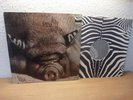 Kin Ping Meh 2, Krautrock original german 1st.Press Zebra 1972