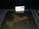 JUSTICE DVNO & REMIXES VINYL 12