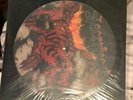 Sacrifice Torment In Fire Picture Disc Vinyl