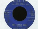 OSCAR CUMMER ROOSEVELT LEE Hey Little Girl on Hilltop R&B Jump Blues 45 Hear