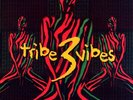 Various ?– Tribe Vibes Vol 3. LP Strictly Breaks