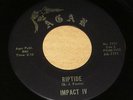 PRIVATE 1963 MN Surf 45 - THE IMPACT IV 