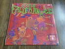 THE FALLEN ANGELS - IT'S A LONG WAY DOWN NEW LP SEALED