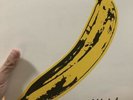 The Verve/MGM Albums by The Velvet Underground (Vinyl)