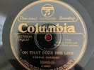 COLUMBIA 15092-D Vernon Dalhart 78rpm The Picnic in the Wildwood