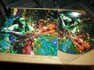 Led Zeppelin - Kashmir - Rare Ltd Edition Picture Disc For Fan Club Mexico - TOP