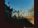 Ma Fleur - Vinyl Cinematic Orchestra - Jazz Music New LP039925
