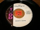 MONTY BANO - THIS COULD BE THE DAY - HOMER WENT   / LISTEN - TEEN ROCK POPCORN