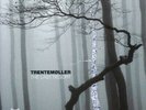 Trentem ller - The Last Resort [New Vinyl LP]