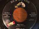 Rockabilly 45 Sammy Salvo - Wolf Boy HEAR  RCA