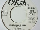 northern soul 45 THE OPALS You're Gonna Be Sorry OKEH listen