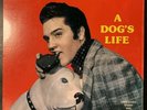 Elvis Presley - 