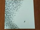 WILCO - SKY BLUE SKY - 2 X VINYL LP
