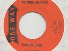 FUNK   / SWEET SOUL -- DAVID GAGE --  SECOND CHANCE
