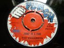 The Viceroys - Jump in A Fire / Give to Get Rare 1969 Punch Boss Skinhead 45