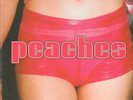 Peaches The Teaches Of Peaches PINK VINYL NEW OVP XL Recordings Vinyl LP
