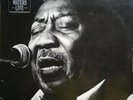 Rare Blues 33 Lp Muddy 