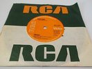DAVID BOWIE 'Changes / Andy Warhol' 7-Inch Vinyl Single with Solid Centre - E34