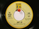 The Beach Boys  Brother 1058  Surf's Up b/w Don't Go Near the Water Stock Label