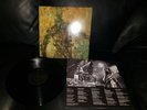 As Tall As Lions - Into The Flood Vinyl LP