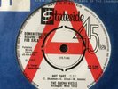 THE BUENA VISTAS: DEMO COPY 