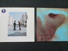 2 X PINK FLOYD / LP / wish you were herf / meedle