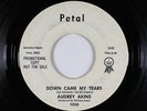 Northern Soul 45 - Audrey Akins - Down Came My Tears - Petal - mp3