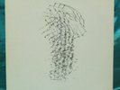 Rare Modern Classical LP: Philip Glass- Music In Similar Motion/ Music In Fifths