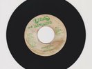 CHRIS RECORDS/ WINNING LAND  -  BOB & JIMMY (87 DIGI ROOTS 7