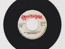 MARVEL MUSIC/ AIN'T GOING TO GIVE IT AWAY - JUNIOR REDWOOD(87 DIGI ROOTS 7